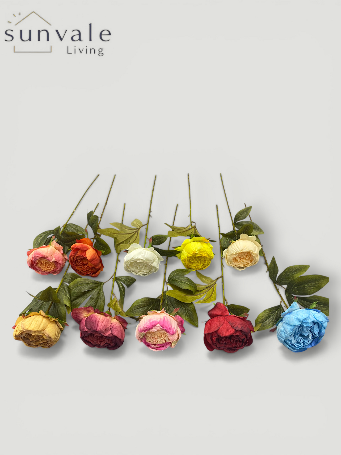 Single-Head Antique Burnt-Edge Peony