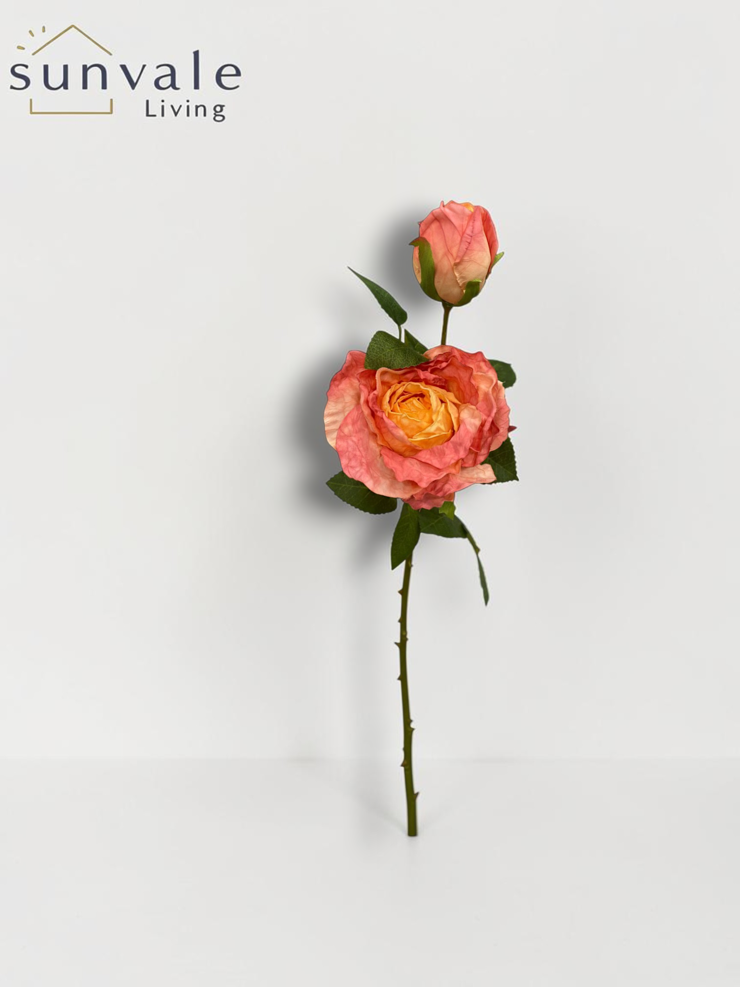 2-Head Antique Burnt-Edge Fireworks Rose Stem wholesale product image