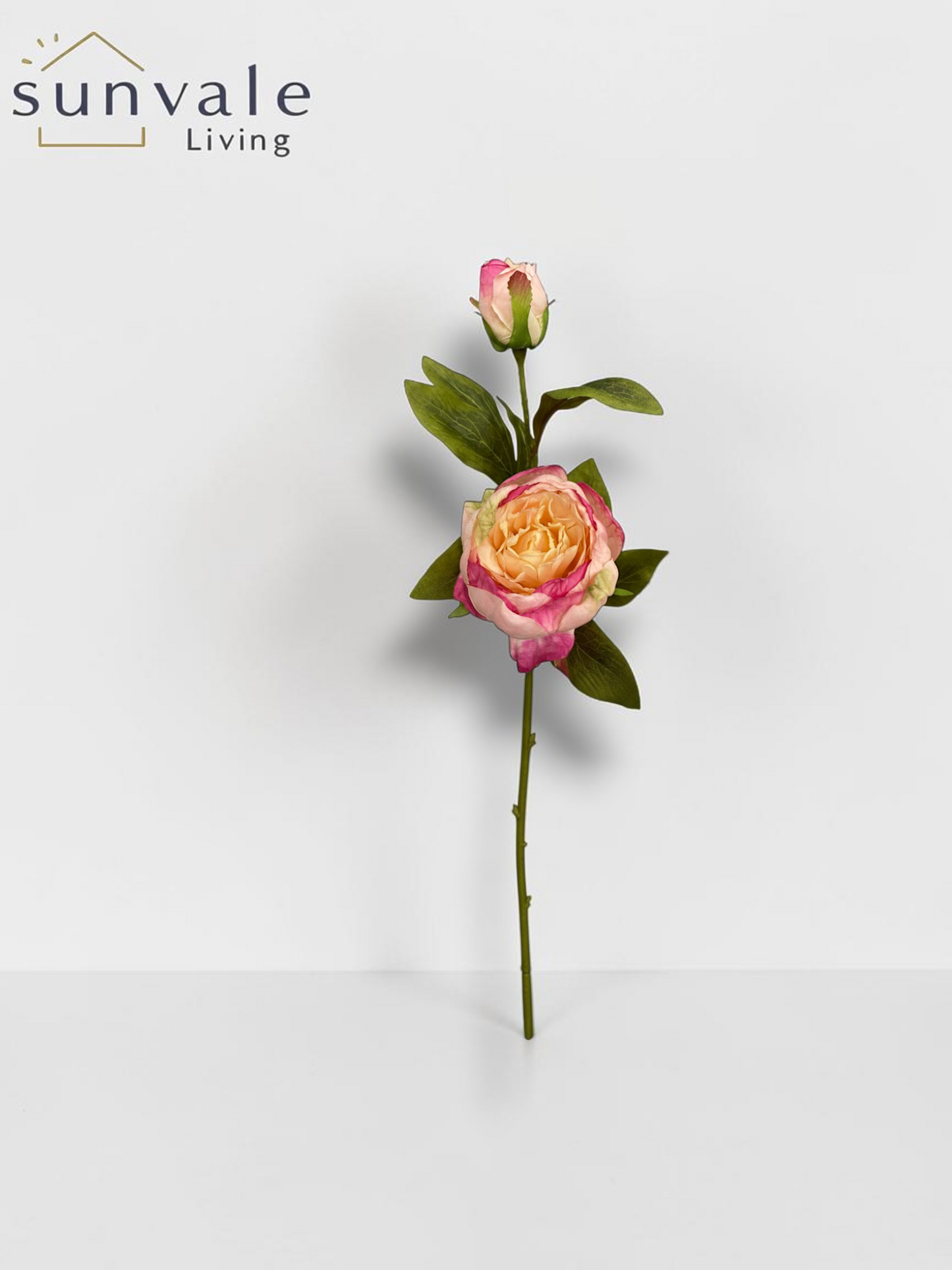 2-Head Antique Burnt-Edge Peony Stem wholesale product image