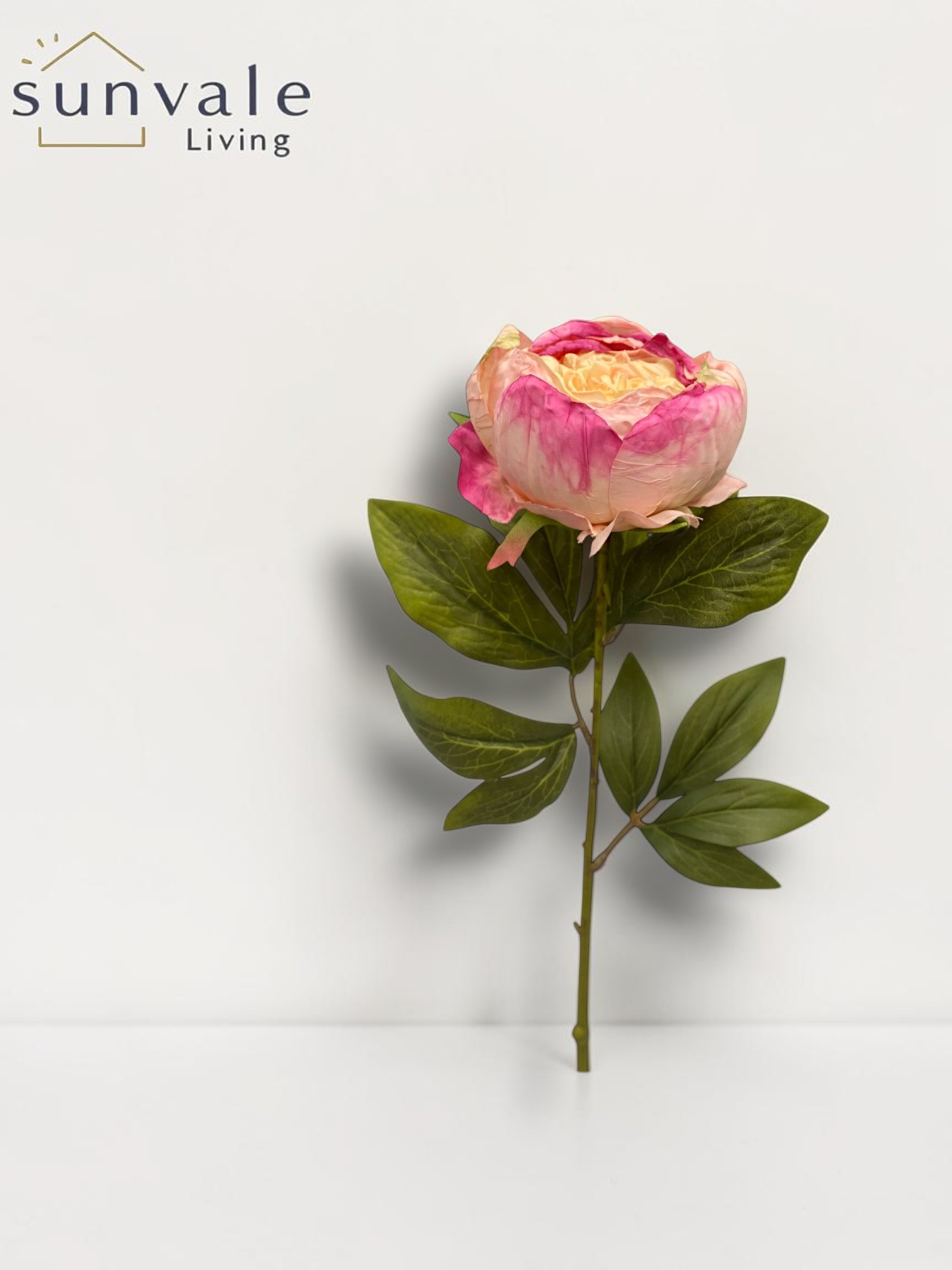 Single-Head Antique Burnt-Edge Peony wholesale product image