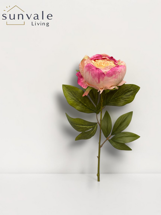 Single-Head Antique Burnt-Edge Peony wholesale product image