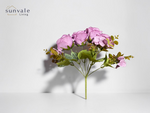 7-Head Antique Shrub Rose Bush Bouquet wholesale product image