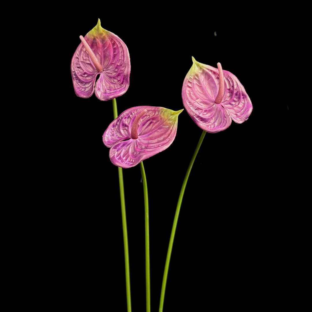 Artificial Anthurium Stem in Mauve