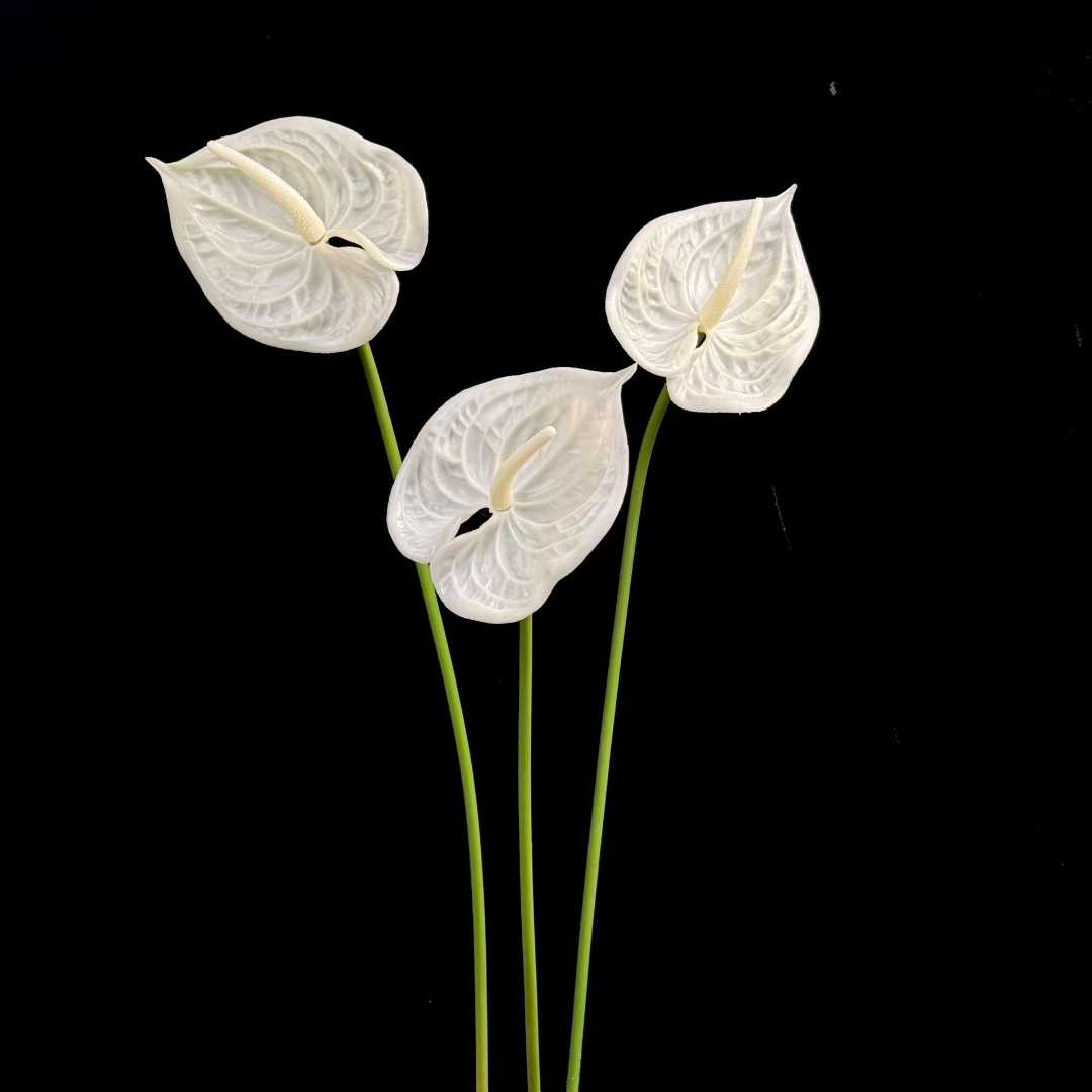 Artificial Anthurium Stem in White