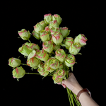 Artificial Spray Rose Bud Stem in Green with Red Edges