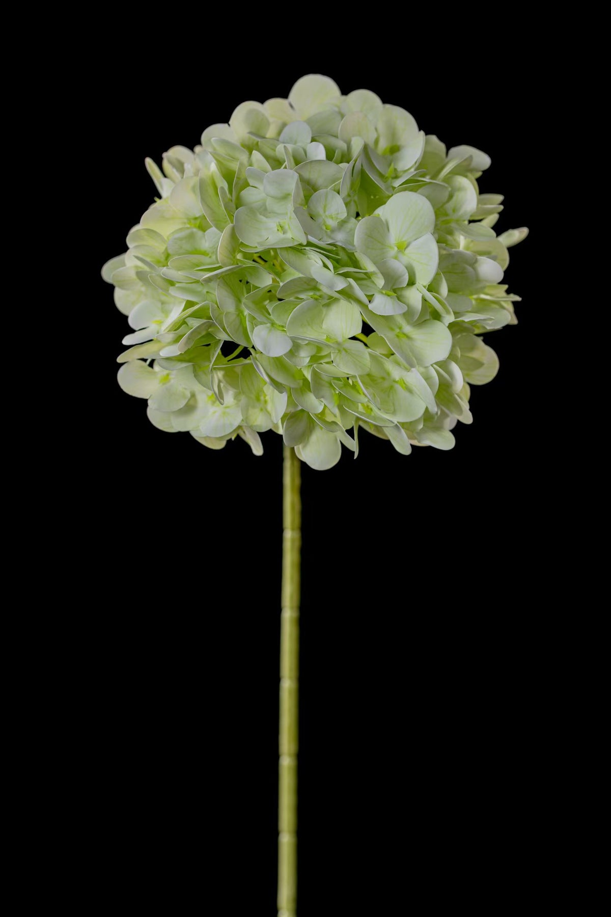 Artificial Mophead Hydrangea Stem in Pale Green