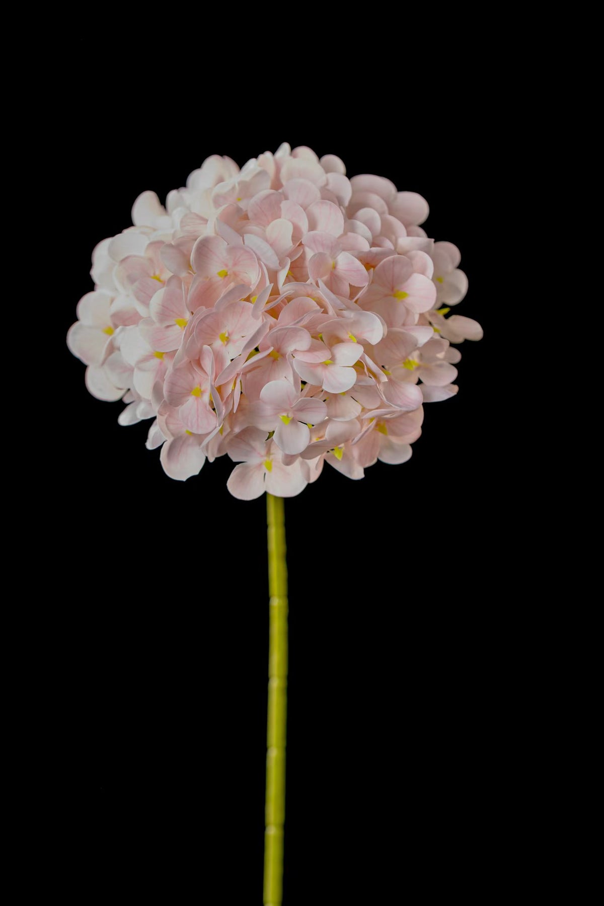 Artificial Mophead Hydrangea Stem in Blush Pink
