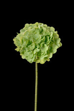 Artificial Mophead Hydrangea Stem in Lime Green