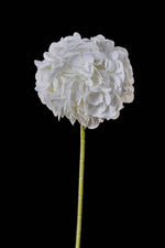 Artificial Mophead Hydrangea Stem in White
