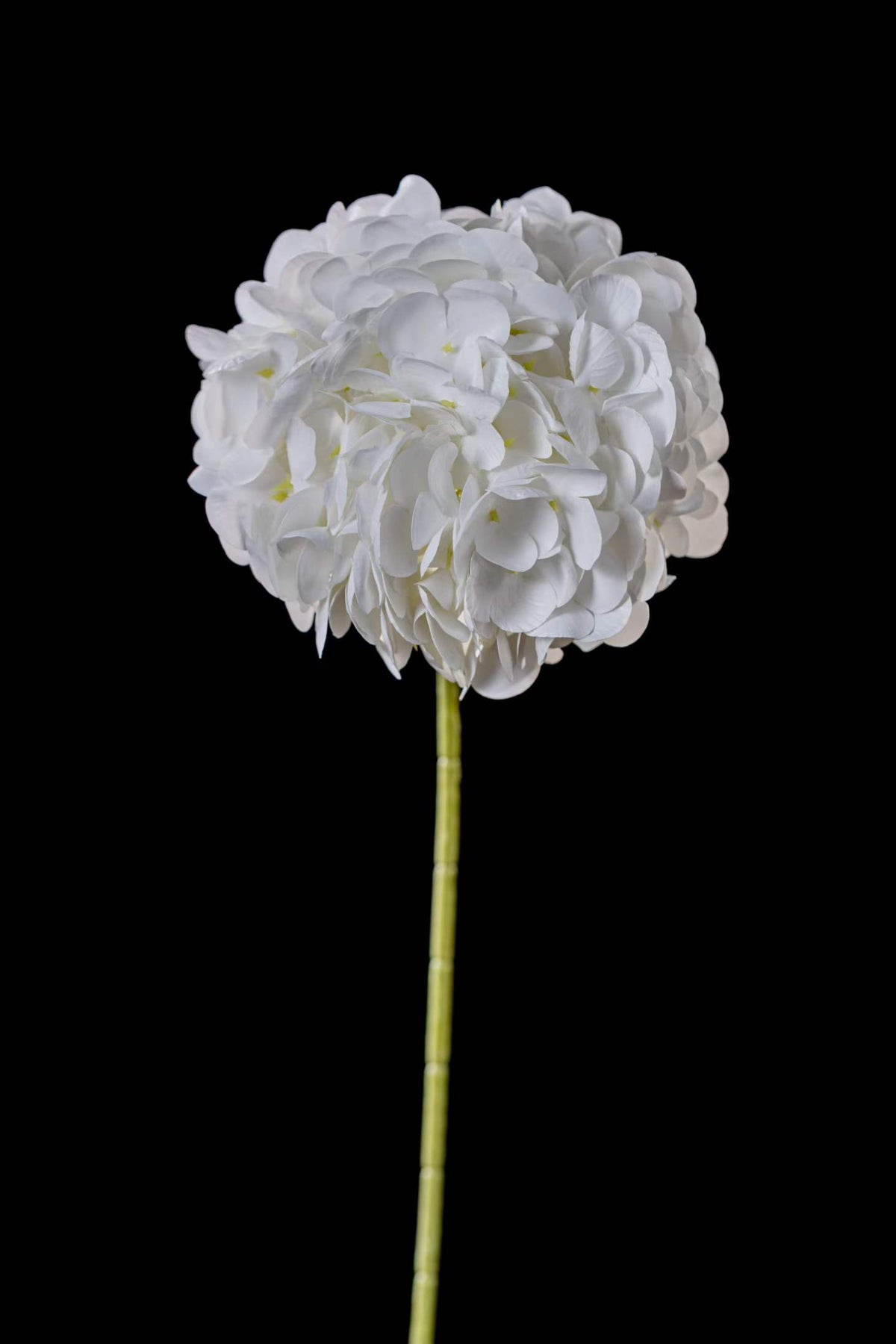 Artificial Mophead Hydrangea Stem in White