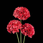 Artificial Mophead Hydrangea Stem in Red