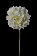 Artificial Mophead Hydrangea Stem in Ivory