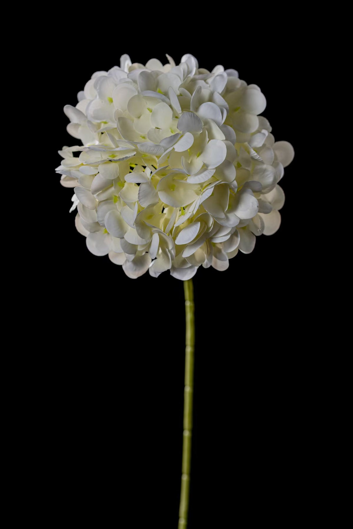 Artificial Mophead Hydrangea Stem in Ivory