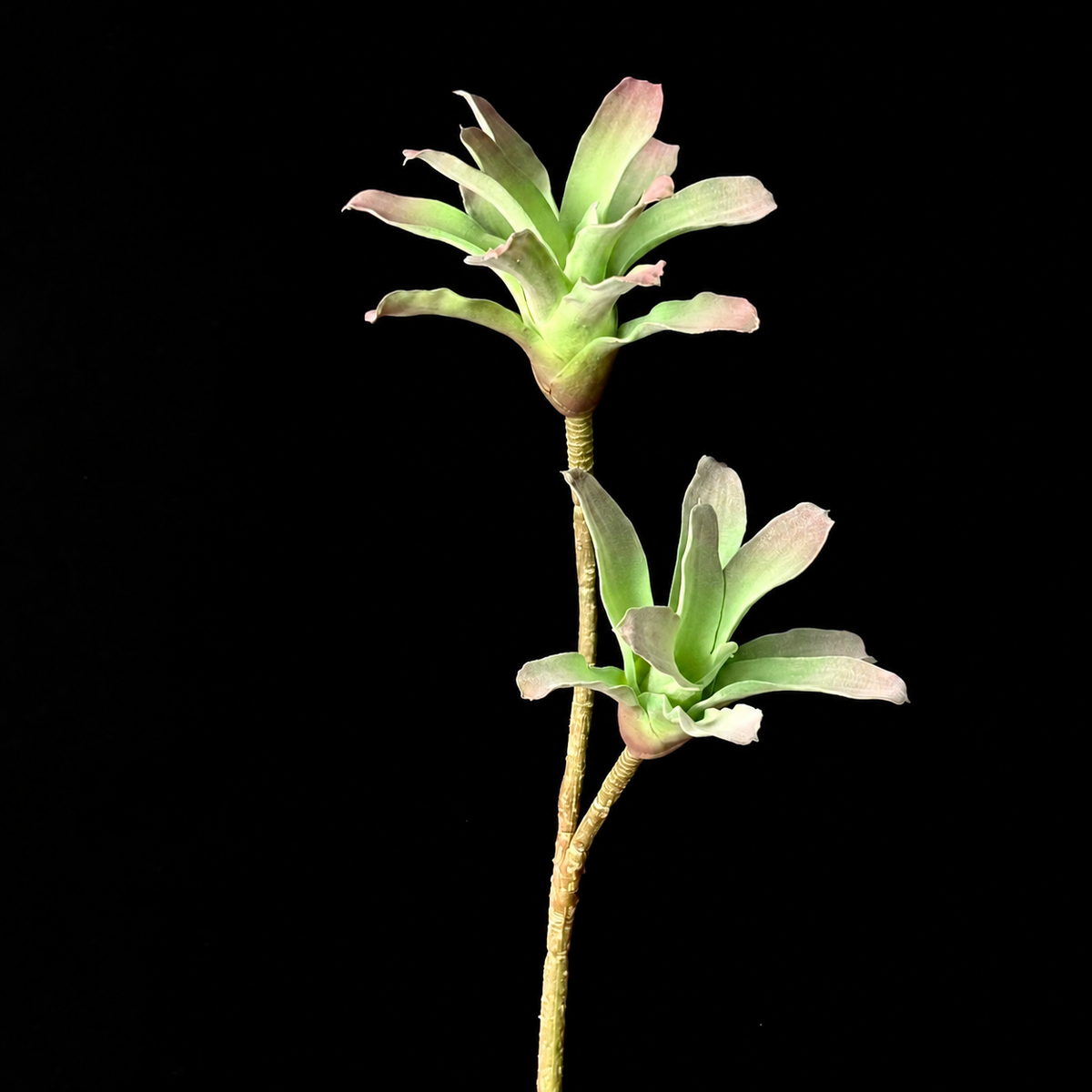 Artificial Broad-Leaf Bromeliad-Style Spray in Pink and Green