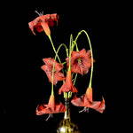 Artificial Angel-Trumpet-Style Flower Stem in Terracotta