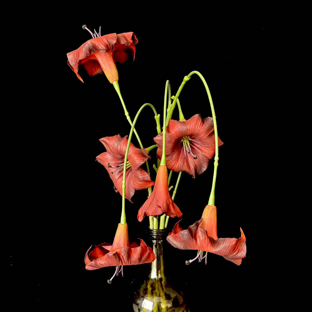 Artificial Angel-Trumpet-Style Flower Stem in Terracotta