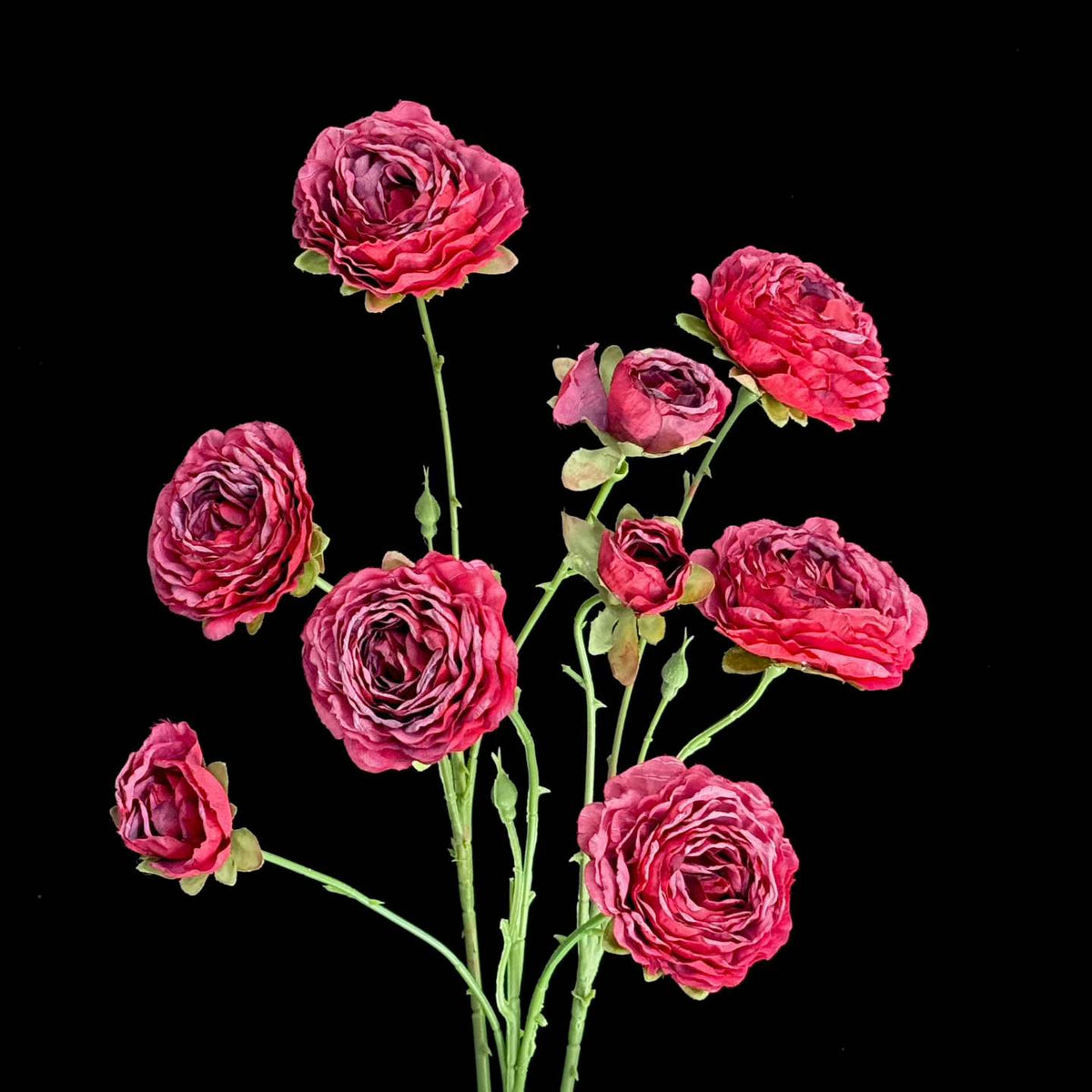 Artificial Burnt-Edge Ranunculus Spray in Burgundy