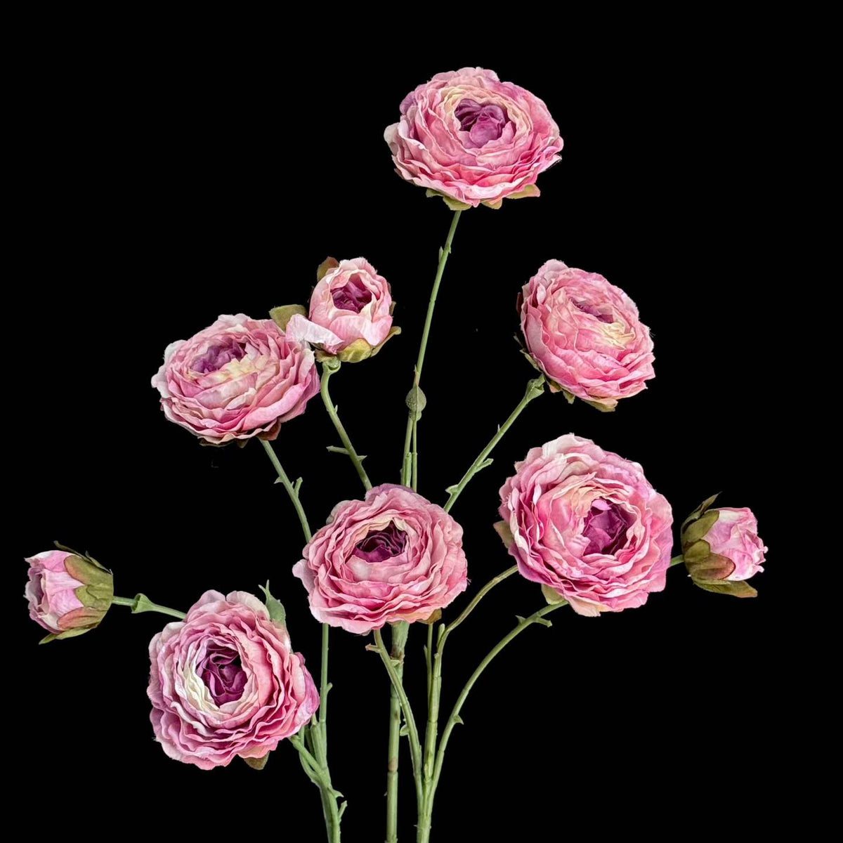 Artificial Burnt-Edge Ranunculus Spray in Dusty Rose