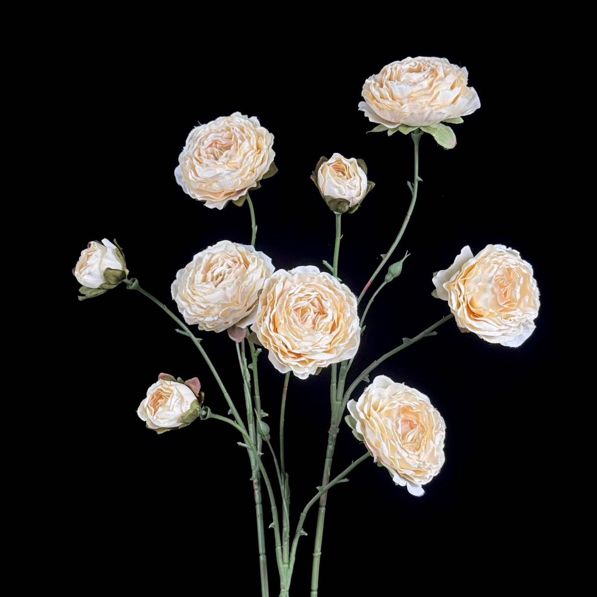 Artificial Burnt-Edge Ranunculus Spray in Ivory
