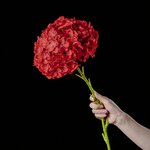 Artificial Large-Bloom Hydrangea Stem in Red