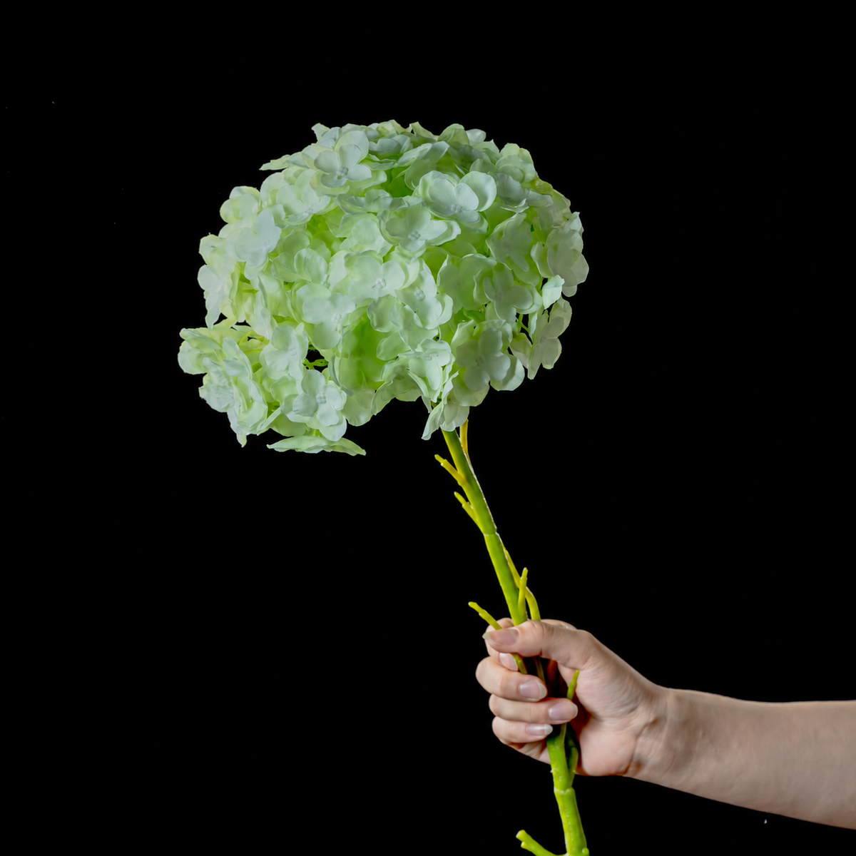 Artificial Large-Bloom Hydrangea Stem in Light Green