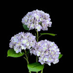Artificial Leafy Hydrangea Stem in Pale Lilac