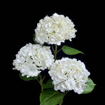 Artificial Leafy Hydrangea Stem in White