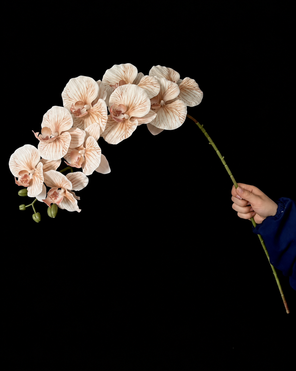 Artificial Phalaenopsis Orchid Stem in Beige
