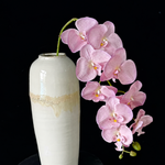 Artificial Phalaenopsis Orchid Stem in Blush Pink
