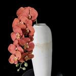 Artificial Phalaenopsis Orchid Stem in Terracotta