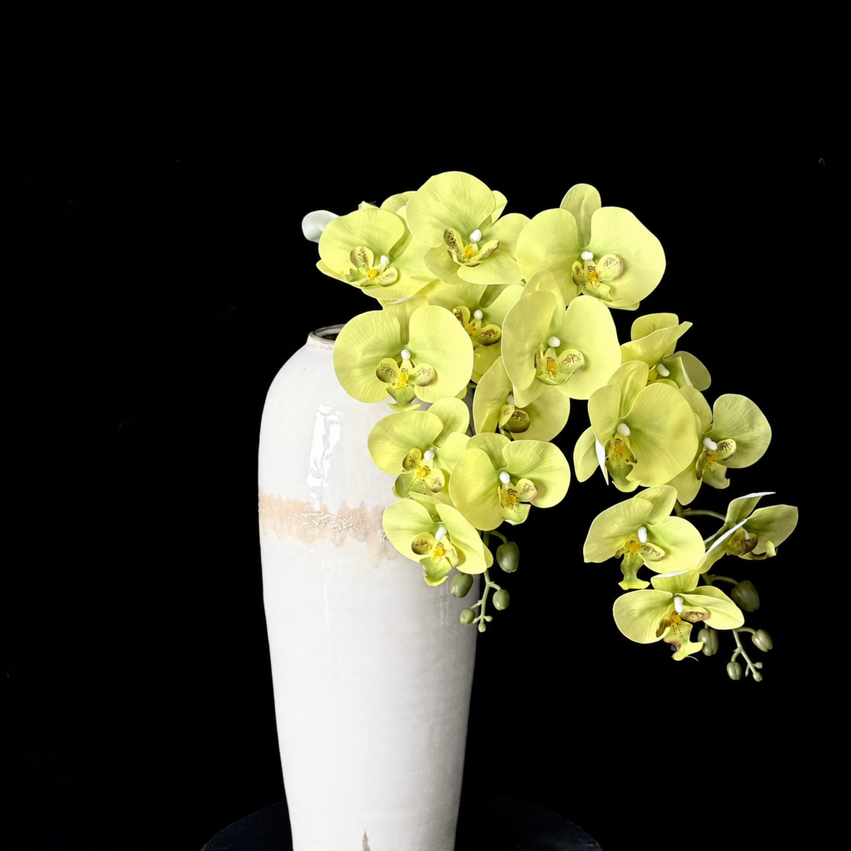 Artificial Phalaenopsis Orchid Stem in Yellow Green