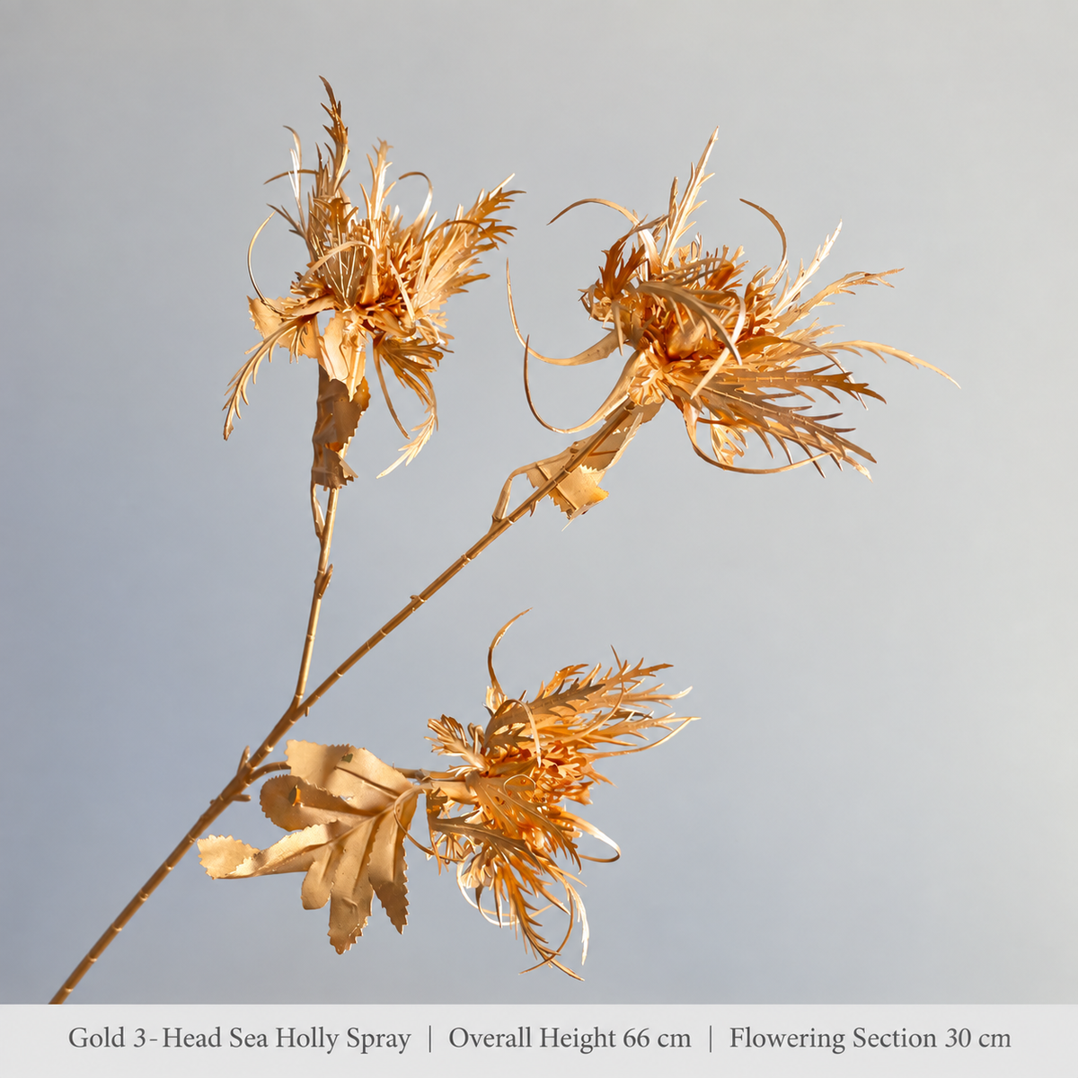 Gold 3-Head Sea Holly Spray | Overall Height 66 cm | Flowering Section 30 cm artificial holiday floral decoration by Sunvale Living
