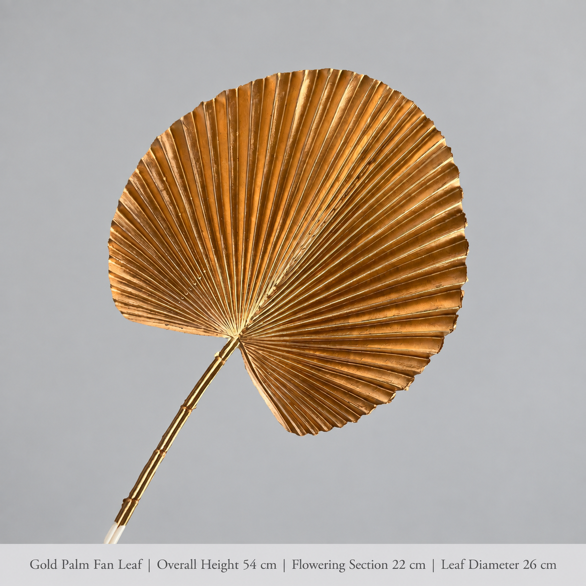 Gold Palm Fan Leaf | Overall Height 54 cm | Flowering Section 22 cm | Leaf Diameter 26 cm artificial holiday floral decoration by Sunvale Living
